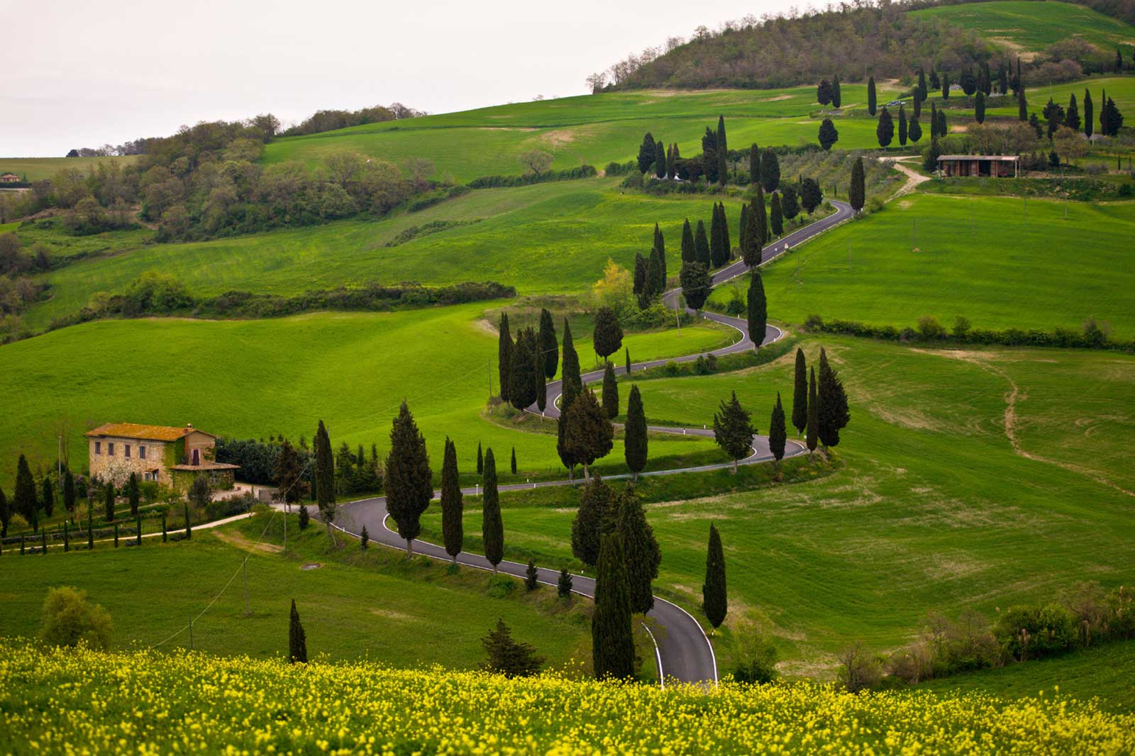 tour of siena and san gimignano from florence